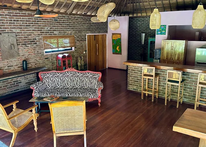 The Jungle House Amed
