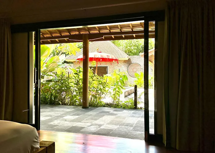 The Jungle House Amed