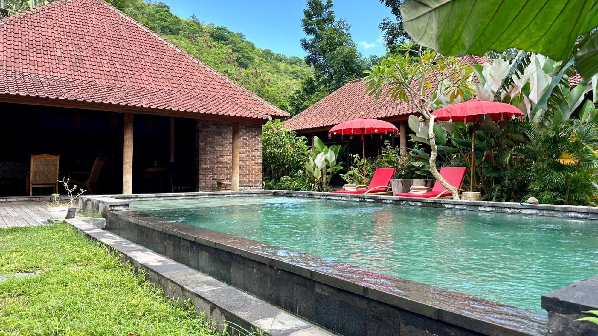 The Jungle House Amed (Bali)