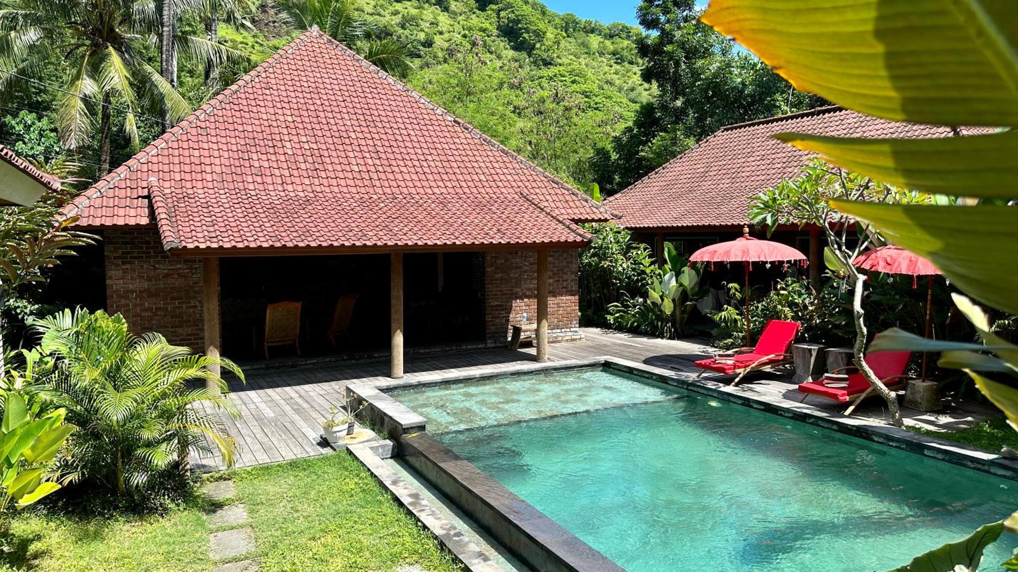 The Jungle House *
