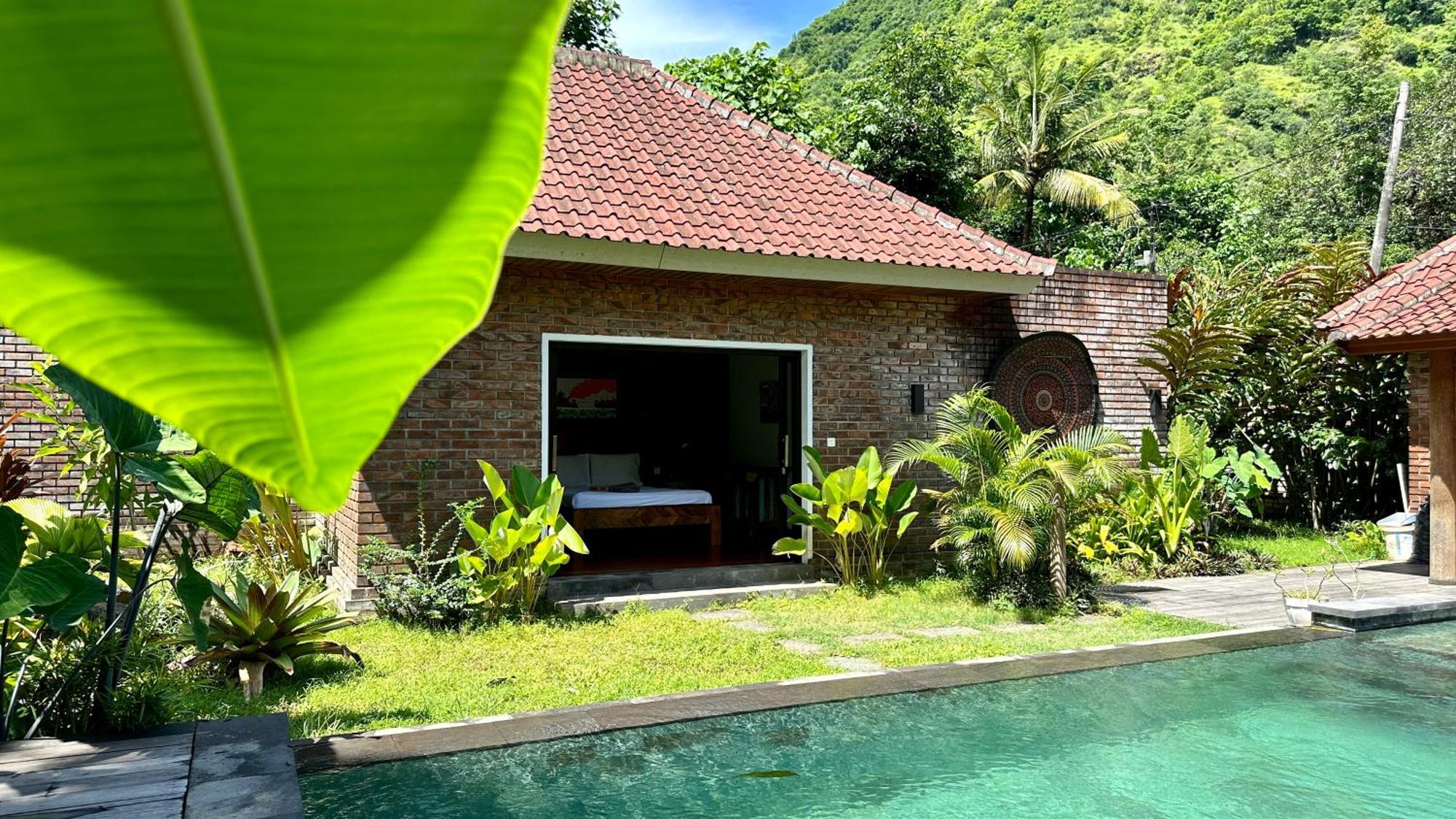 The Jungle House *