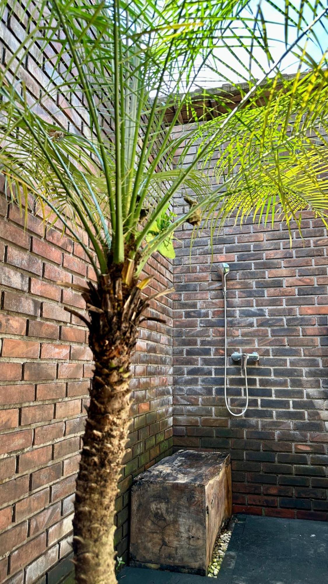 The Jungle House विला