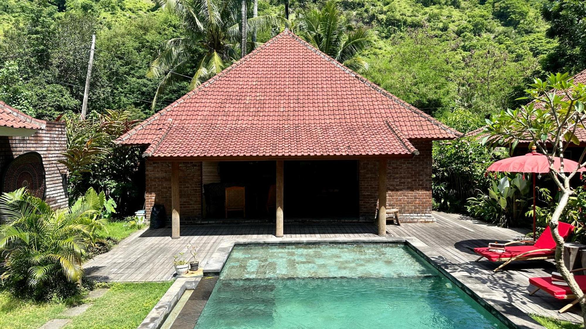 The Jungle House * Amed