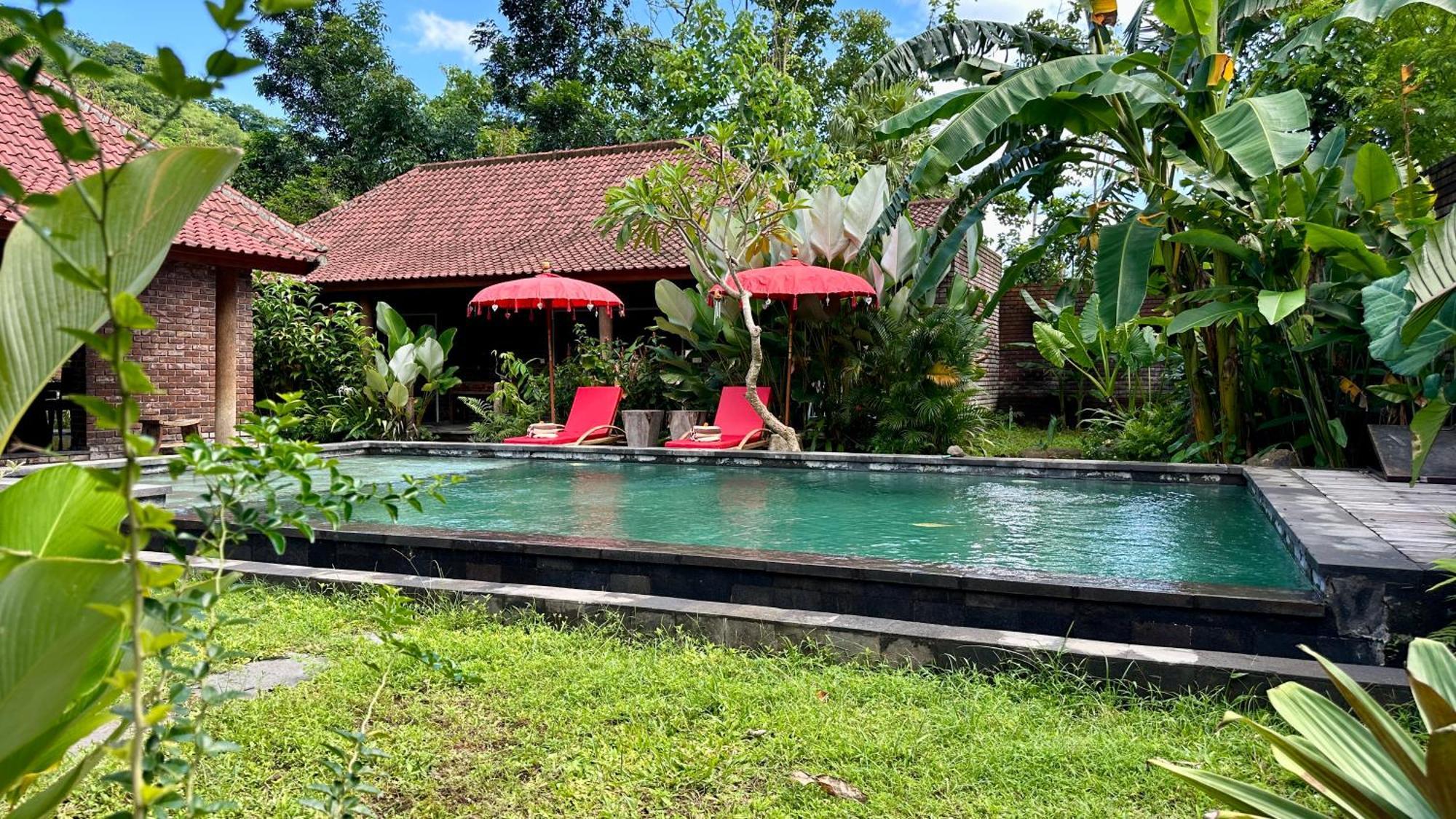The Jungle House Villa Amed